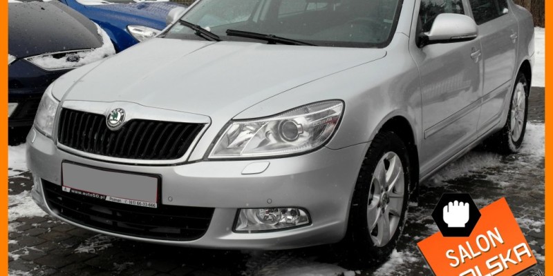 Lukasz Lubin (Skoda Octavia Elegance 2011r)